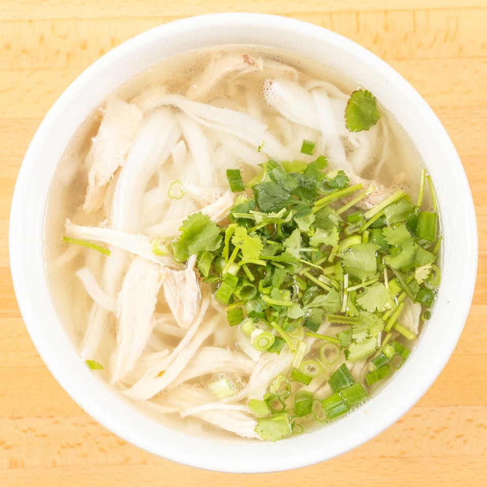 A white bowl of Bốn Mùa Vietnamese chicken pho with noodles, broth, cilantro, and green onions.